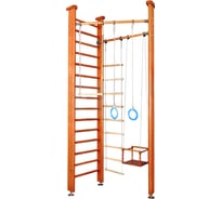 Детский спортивный комплекс Карусель 3Д.01.01 Орех 00000000031