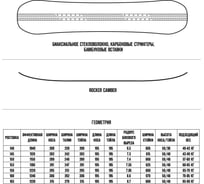 Сноуборд TERROR spray, ростовка 163 4620131037575