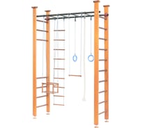 Детский спортивный комплекс Карусель 4Д.02.01 Светлый СГ000000798