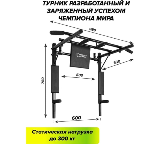 Турник-брусья Absolute Champion Железное тело СГ000002587