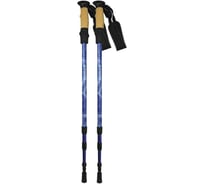 Треккинговые телескопические палки ATEMI twist lock, antishok, р. 65-135 см, ATP-05 blue 00-00000665