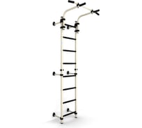 Детский спортивный комплекс ROMANA S8 белый антик золото/черный ДСКМ-2С-8.06.Г2.410.01-01