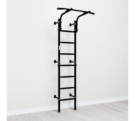 Детский спортивный комплекс Romana S9 01.21.7.06.410.04.00-01 чёрный матовый СГ000004593