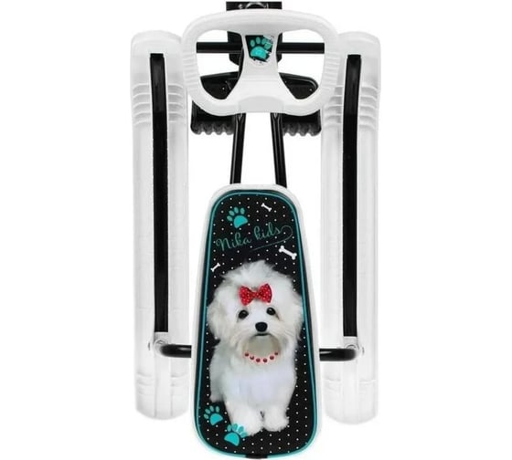 Снегокат Nika Игрушка Тимка спорт 1+ ТС1+ ТС1+/БЛ с болонкой