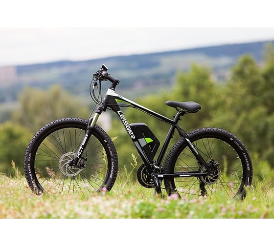 Велогибрид LEISGER MD5 BASIC black/green 007495-0007