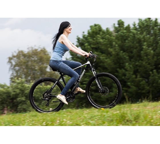 Велогибрид LEISGER MD5 BASIC black/green 007495-0007