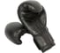 Боксерские перчатки Boybo basic, bbg100 черные 4631143613565 9