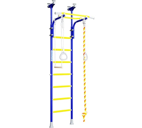 Детский спортивный комплекс Romana R5 01.20.7.06.490.03.00-24 синяя слива СГ000004611