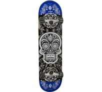 Скейтборд ATEMI ASB-5.16 skull 31х8" 00000136467