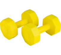 Виниловые гантели ATEMI AD023, 1.5 кг, 2 шт 00000089531