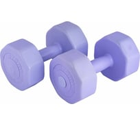 Виниловые гантели ATEMI AD028, 4 кг, 2 шт 00000089533