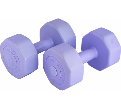 Виниловые гантели ATEMI AD028, 4 кг, 2 шт 00000089533