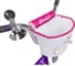 Велосипед NOVATRACK LITTLE GIRLZZ диаметр колес 20", фиолетовый 207GIRLZZ.VL23 7