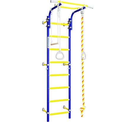 Детский спортивный комплекс Romana Next Top 01.21.8.06.490.03.00-24 синяя слива СГ000004575