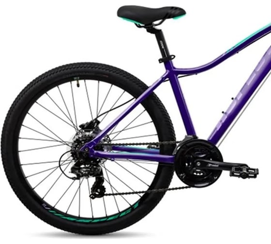 Велосипед ASPECT Oasis HD, 2023, размер рамы 14.5", фиолетово-зеленый 4650231370586