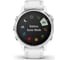 Смарт-часы Garmin fenix 6S белый с белым ремешком 010-02159-00 3