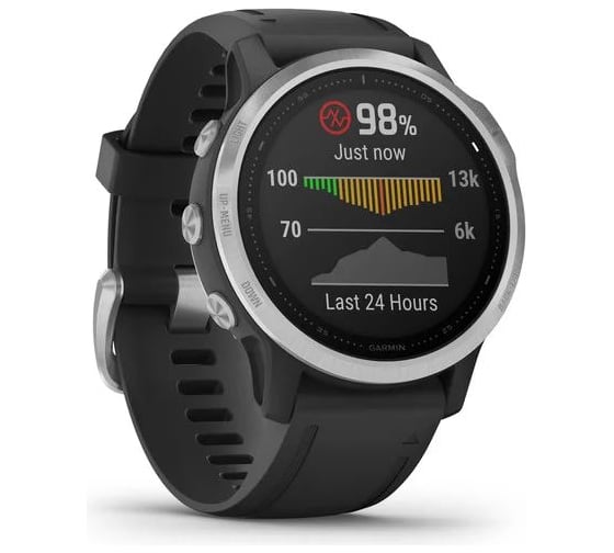 Смарт-часы Garmin fenix 6S серебристый с черным ремешком 010-02159-01