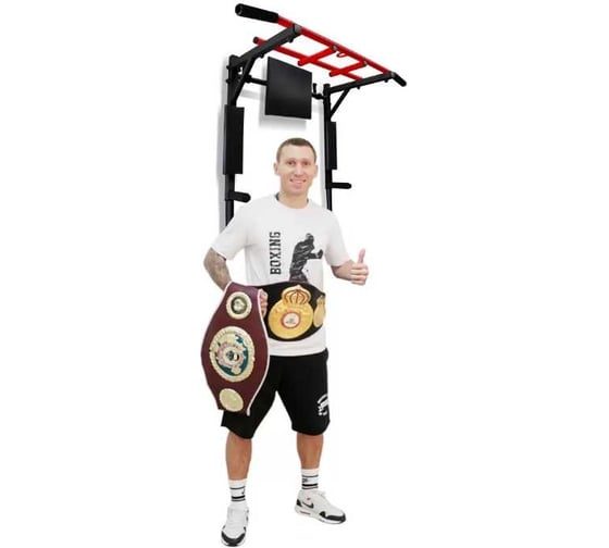 Турник Absolute Champion ЭлитСпортNEW черно-красный, разборный Aktiv АЧ 9962