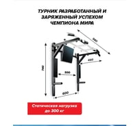 Разборный турник-брусья Absolute Champion Aktiv 3 в 1 ЦЕНТРЛ СПОРТ черно белый с черными ручками АЧ 9970
