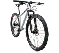 Велосипед FORMAT 1121 29, рост L, 2019-2020, серый матовый RBKM0M69E001