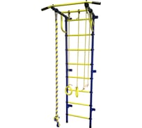 Детский спортивный комплекс ПионерС2Р сине/жёлтый СГ000001979