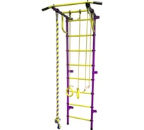 Детский спортивный комплекс Пионер С2РМ пурпурно/жёлтый СГ000001986