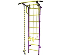 Детский спортивный комплекс Пионер С2НМ пурпурно/жёлтый 00000002014