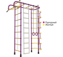 Детский спортивный комплекс Пионер 2М пурпурно/жёлтый 2332