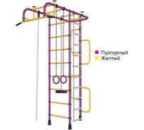 Детский спортивный комплекс Пионер 3М пурпурно/жёлтый 2249