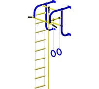 Детский спортивный комплекс Пионер 5 сине/жёлтый 1713