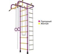 Детский спортивный комплекс Пионер АМ пурпурно/жёлтый 2018