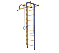 Детский спортивный комплекс Пионер 1 сине/жёлтый 1497