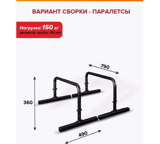 Хайлетсы-паралетсы Absolute Champion №3 ВБ АЧ 11752