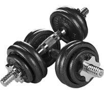 Гантели разборные  PROIRON из чугуна, 2 шт по 7.5 кг Г2075Ч