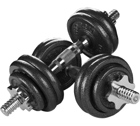 Гантели разборные  PROIRON из чугуна, 2 шт по 7.5 кг Г2075Ч