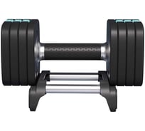 Гантель разборная быстросъемная PROIRON 10 кг ГБ1100Р