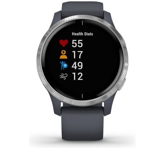 Смарт-часы Garmin Venu, GPS, Wi-Fi, Blue Granite/Silver, E.EU 010-02173-03