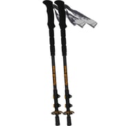 Треккинговые палки Tramp Zero Gravity черный TRR-013(3076)