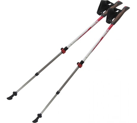 Палки для скандинавской ходьбы Tramp Compact TRR-004(9093)