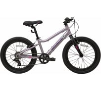 Велосипед детский Maxiscoo "5BIKE" 20'' L, розовый сапфир, 2024 г MSC-M5-2003
