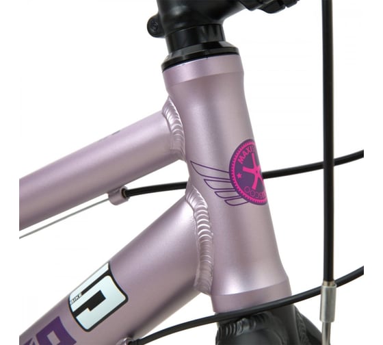 Велосипед детский Maxiscoo "5BIKE" 20'' L, розовый сапфир, 2024 г MSC-M5-2003