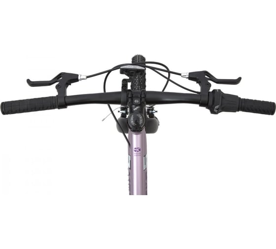 Велосипед детский Maxiscoo "5BIKE" 20'' L, розовый сапфир, 2024 г MSC-M5-2003