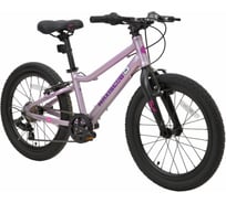 Велосипед детский Maxiscoo "5BIKE" 24'' L, розовый сапфир, 2024 г MSC-M5-2403