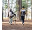 Треккинговая женская палка Naturehike ST01 6061 AL NH17D001-Z с 3 узлами, 57-120, зеленый 6975641885573 9