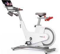 Велотренажер DFC YESOUL Smart Spinning bike V1 белый V1 WHITE