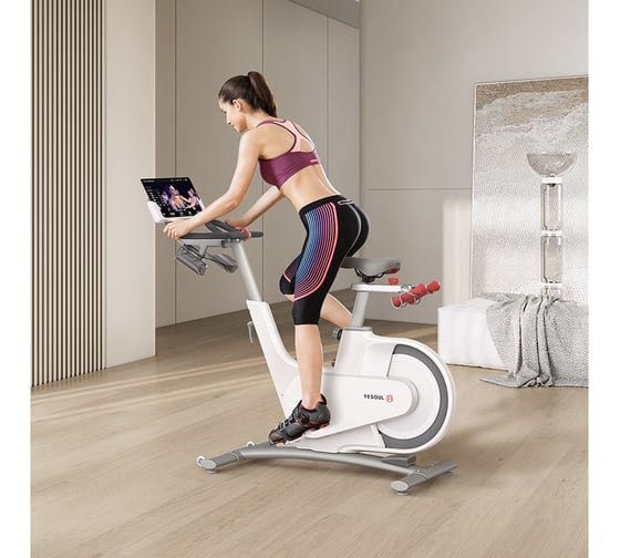 Велотренажер DFC YESOUL Smart Spinning bike V1 белый V1 WHITE