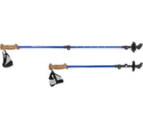 Палки для скандинавской ходьбы Larsen Extreme раздвижные, 3-х секции, 70-140см, в чехле 297 991