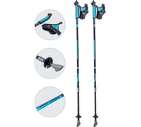 Карбоновые телескопические палки для скандинавской ходьбы Ecos AQD-B018C 999912