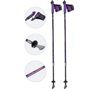 Карбоновые телескопические палки для скандинавской ходьбы Ecos AQD-B018B 999910
