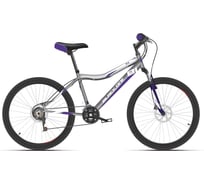 Велосипед BLACK ONE Ice 24 D, серый/белый/фиолетовый, HD00000443